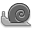 snail